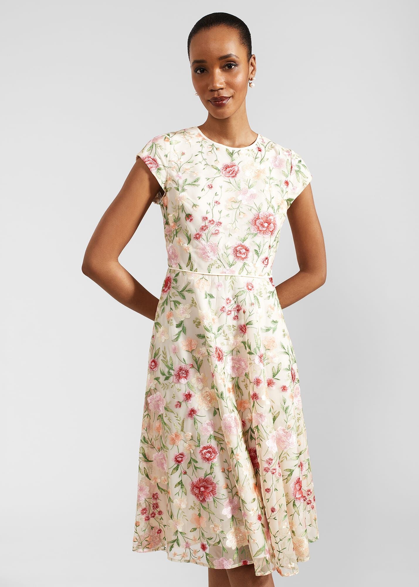 Petite Tia Embroidered Dress
