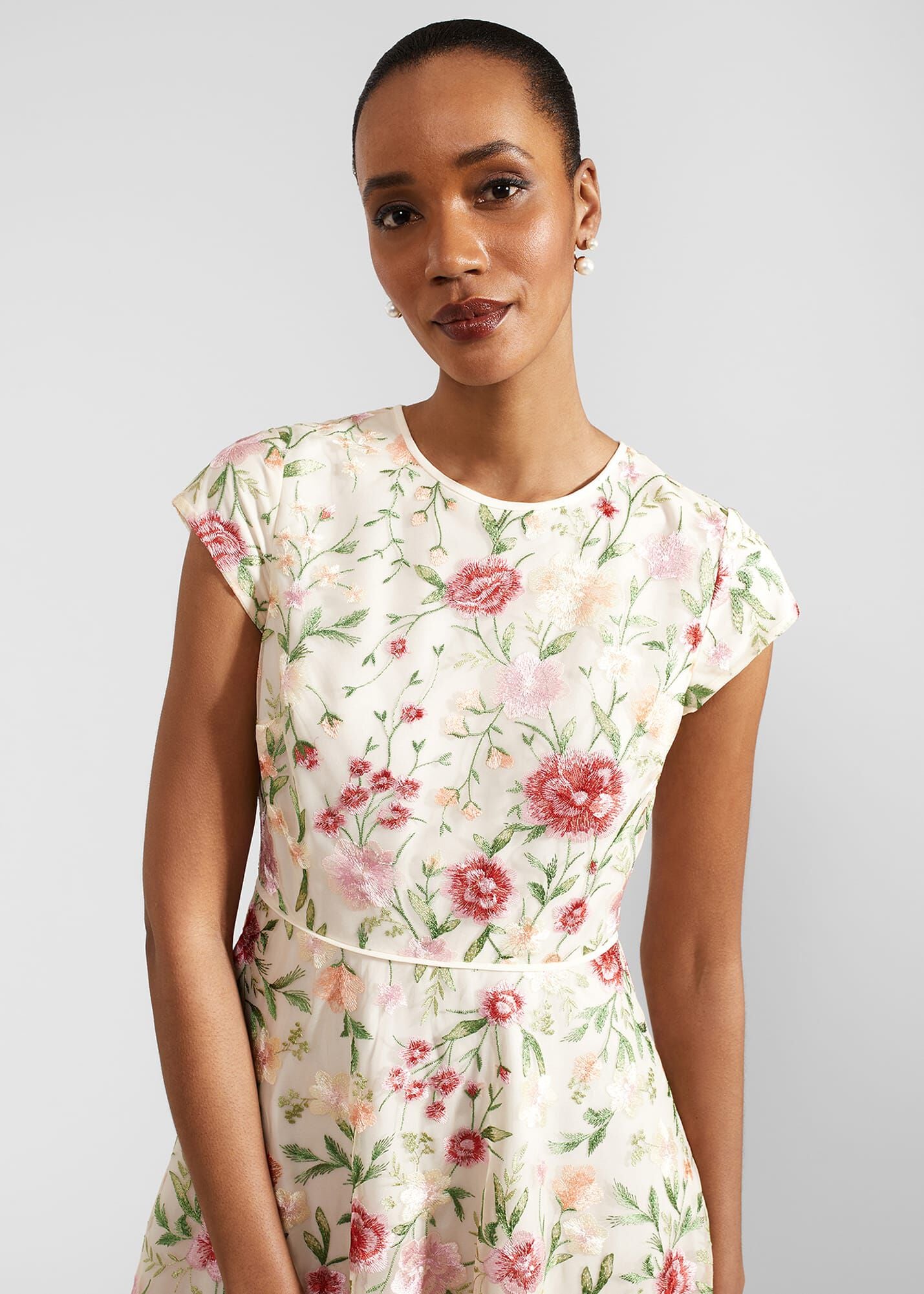 Petite Tia Embroidered Dress