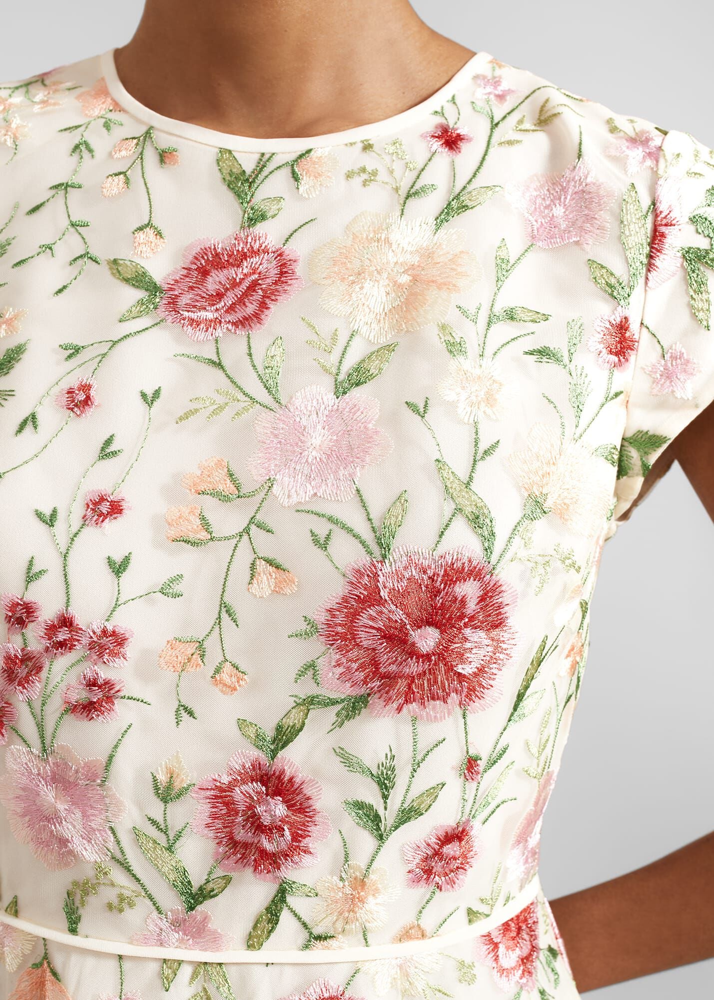 Petite Tia Embroidered Dress