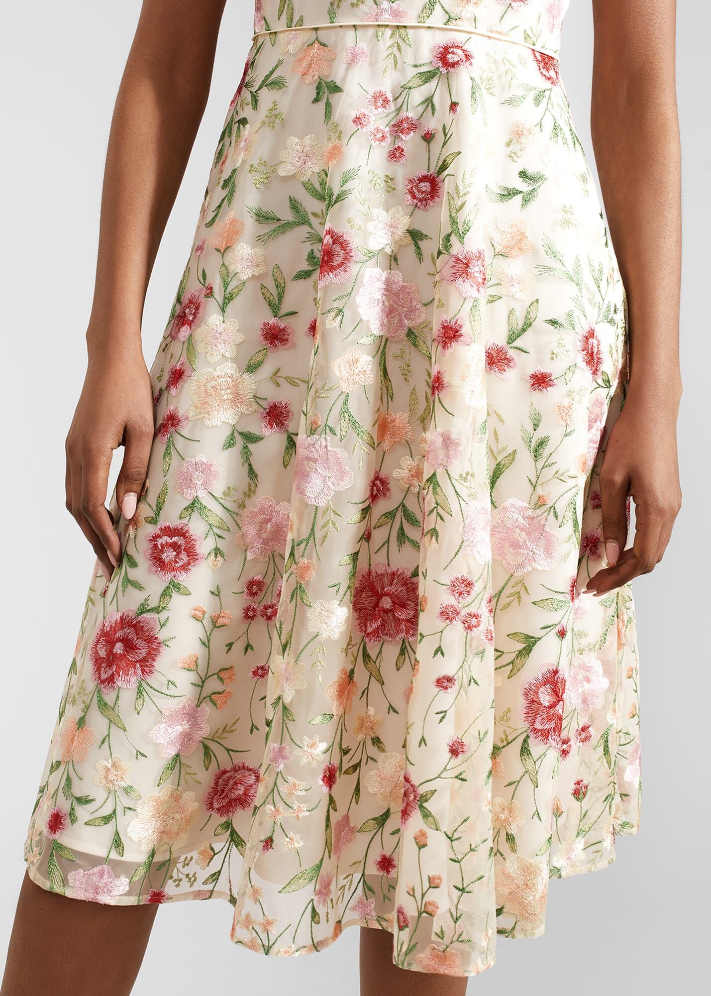 Petite Tia Embroidered Dress