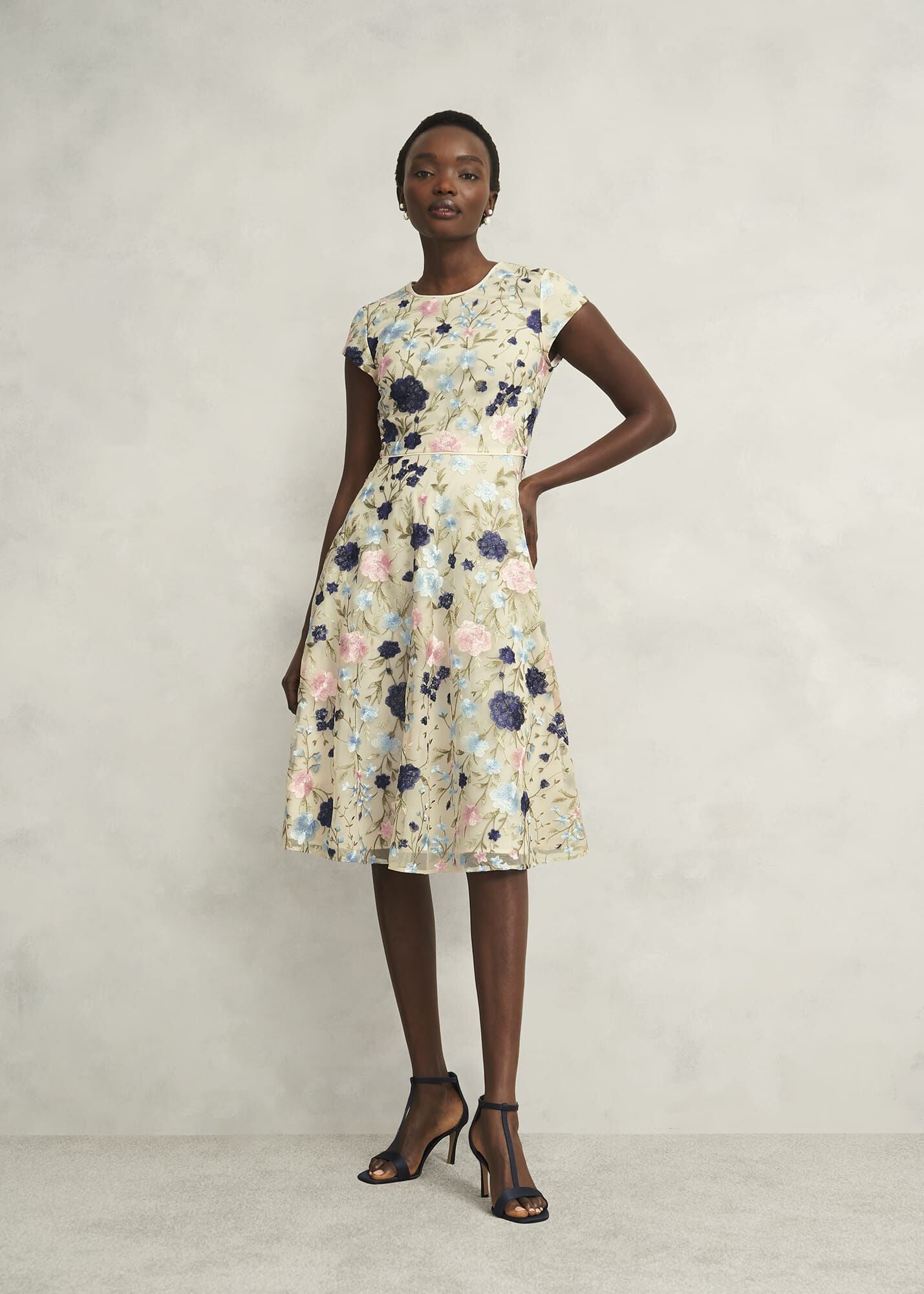 Petite Tia Embroidered Dress