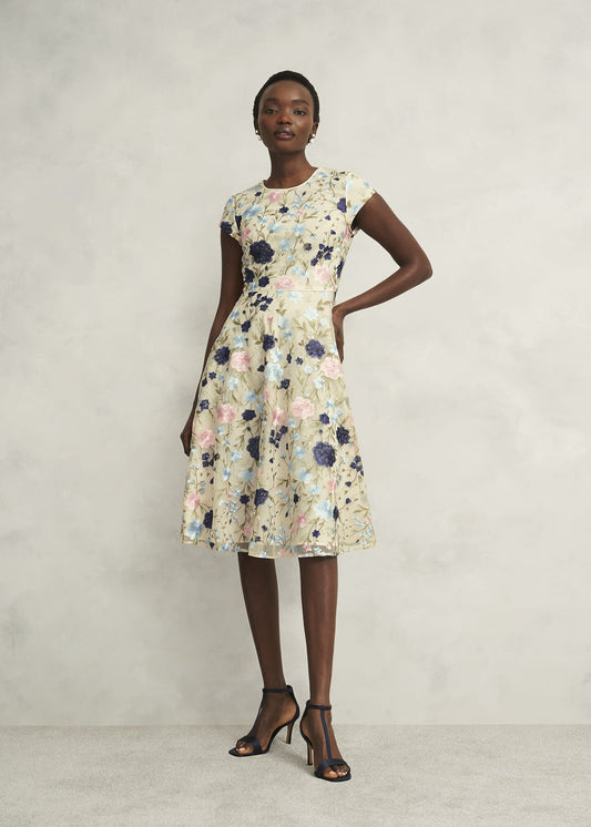Petite Tia Embroidered Dress