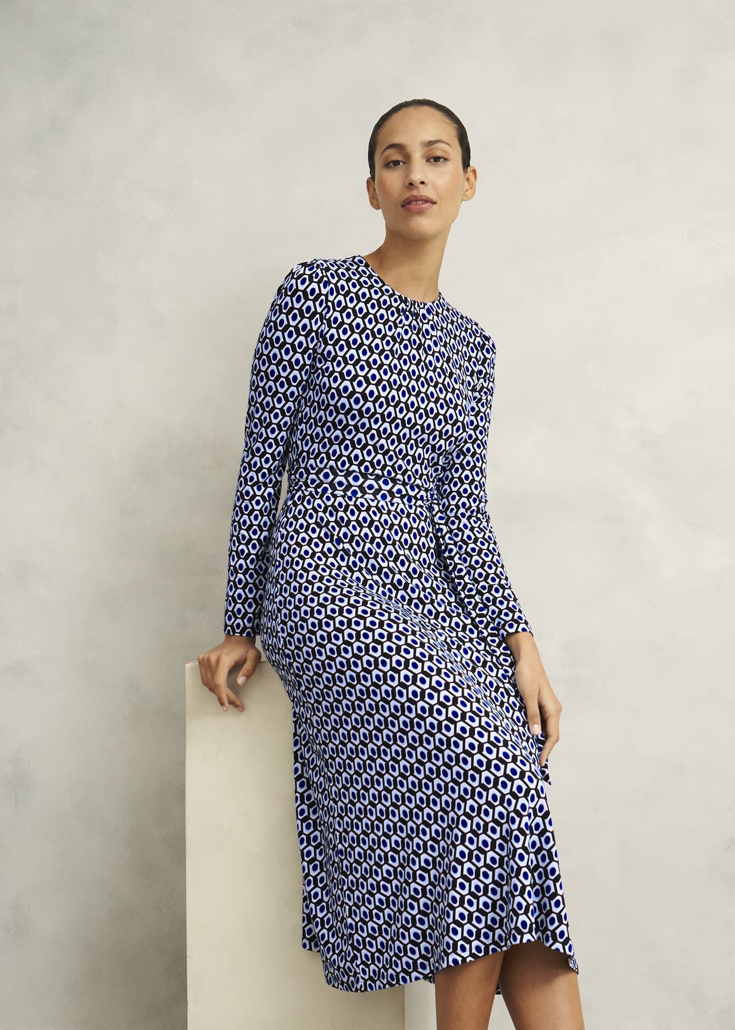 Petite Dakota Dress