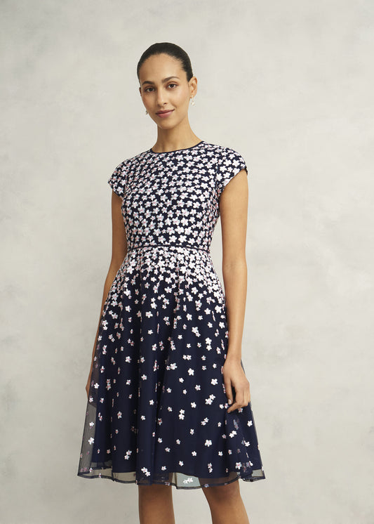 Betty Embroidered Dress