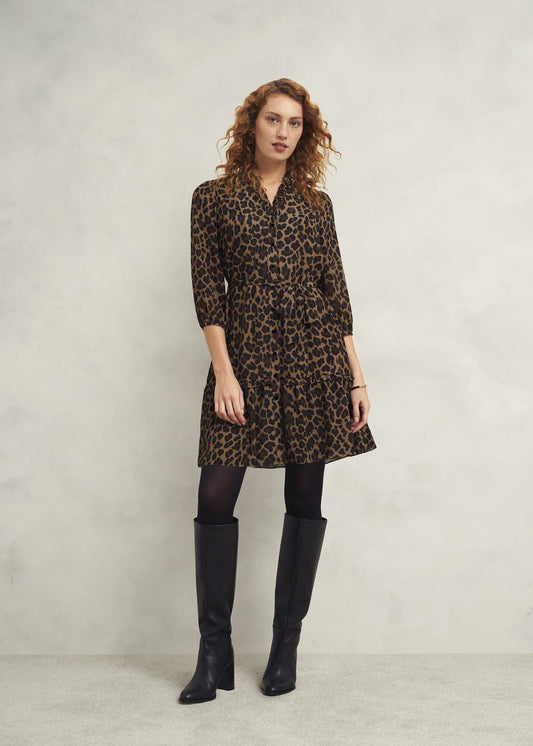 Polly Dress